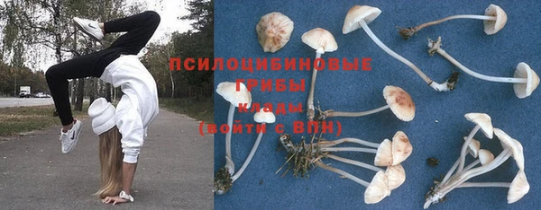 герыч Алексеевка