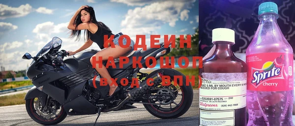 ПСИЛОЦИБИНОВЫЕ ГРИБЫ Арсеньев