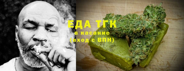 хмурый Аркадак