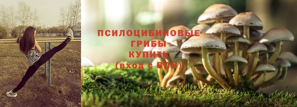 героин Алзамай