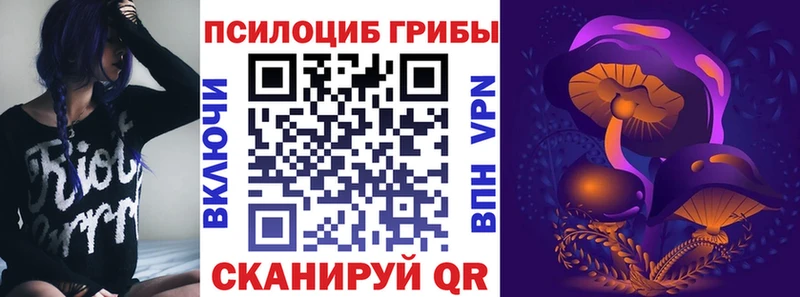 Псилоцибиновые грибы мицелий Инсар
